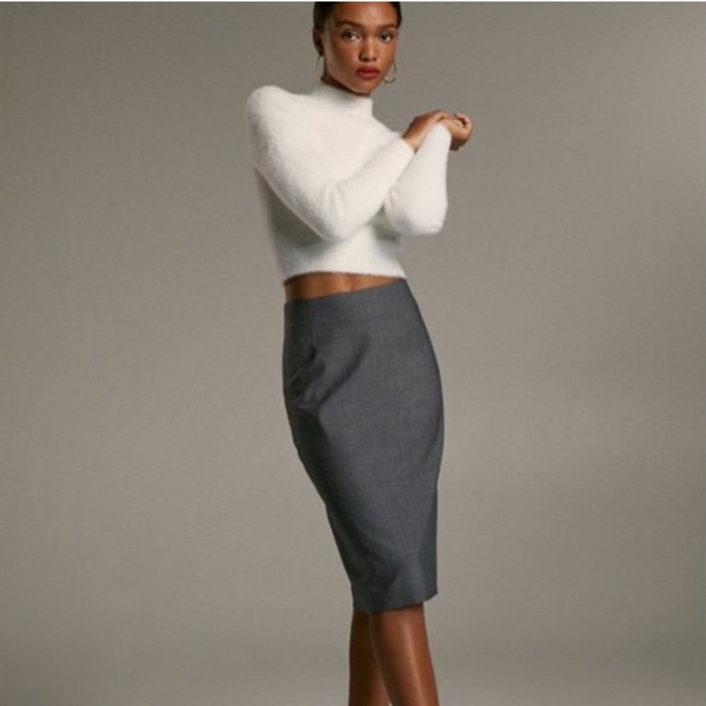 NWT Aritzia Babaton Gabe Skirt